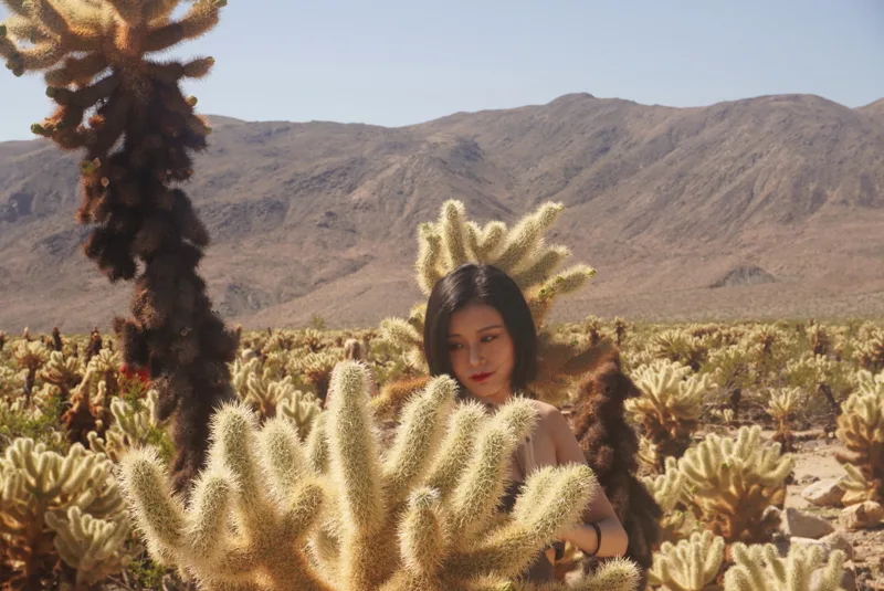 Joshua Tree — California