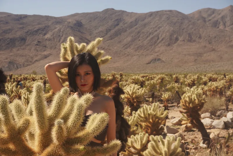 Joshua Tree, photo 6 from Amelia’s personal collection