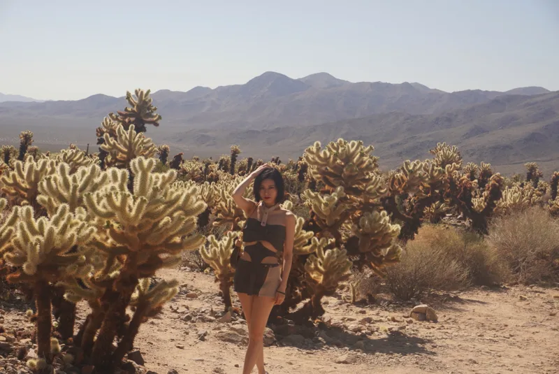 Joshua Tree, photo 7 from Amelia’s personal collection